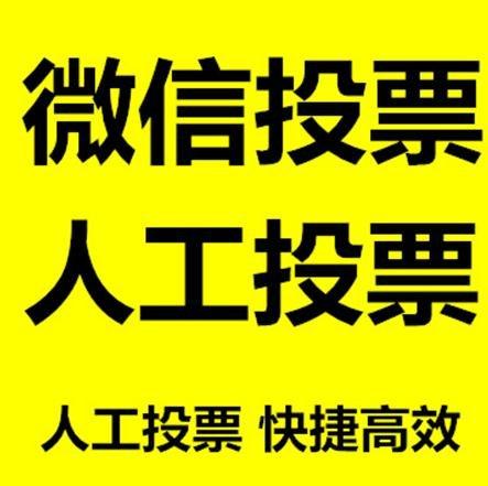 恩施土家族苗族自治州微信投票哪个速度快？